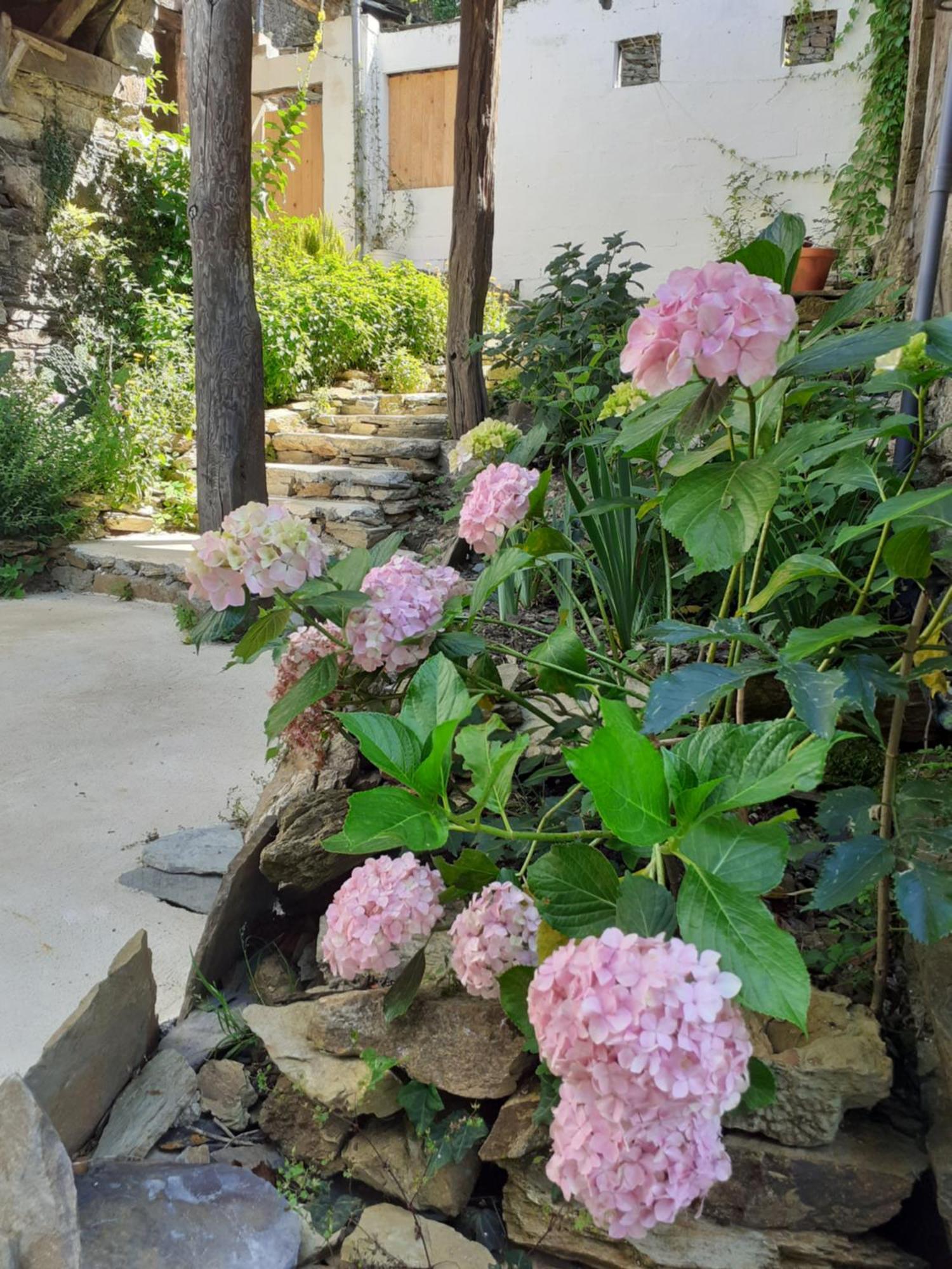 Sons Do Eo Apartamentos Turisticos Baleira Ngoại thất bức ảnh